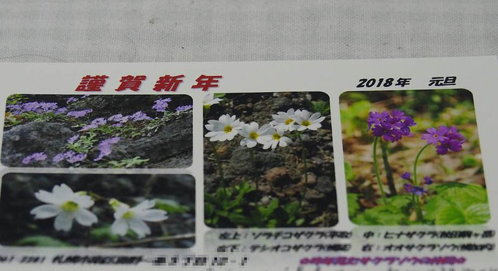 P1010251