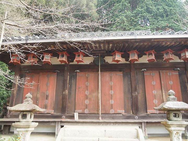 Pc210260oooooooooooooooooo