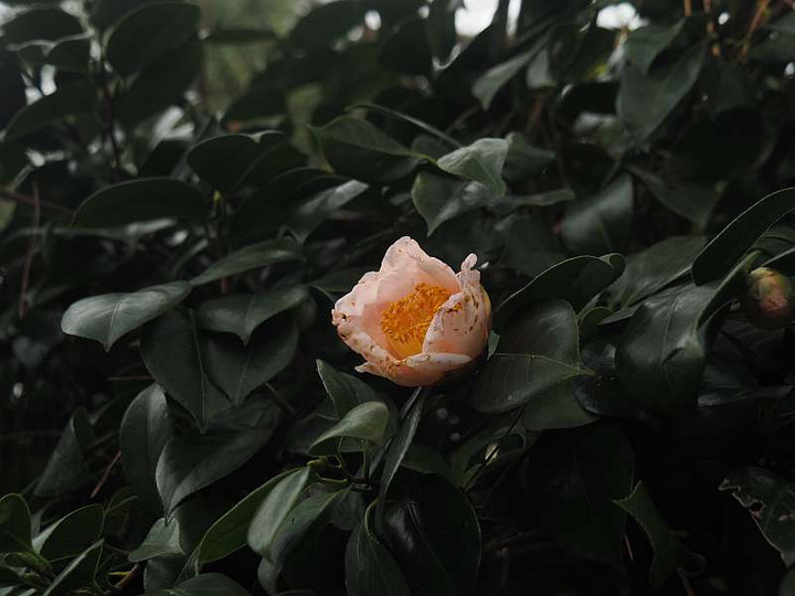 P1090334