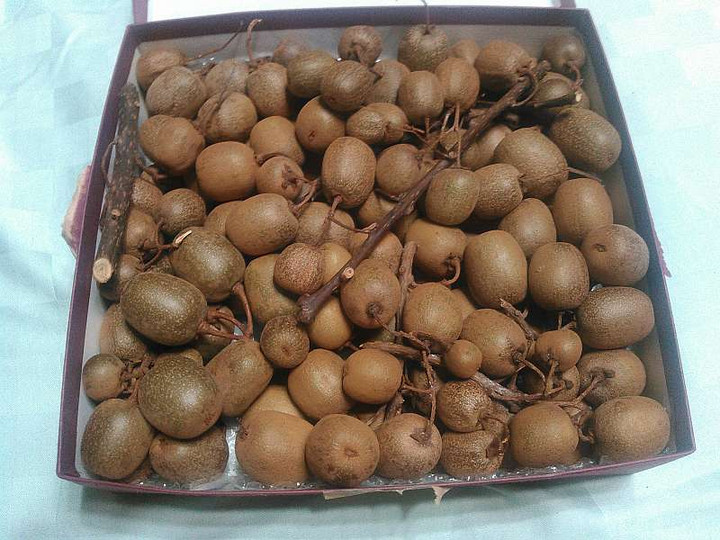 Kimg0963