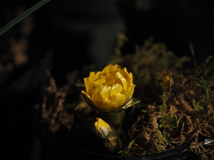 P1120343