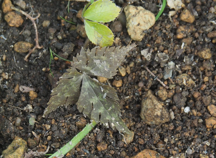 P1160400