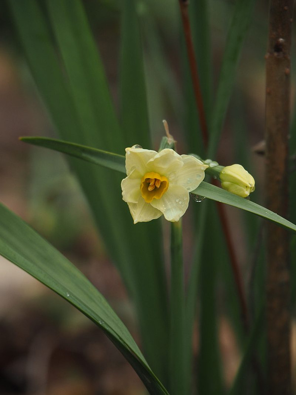 P1170409