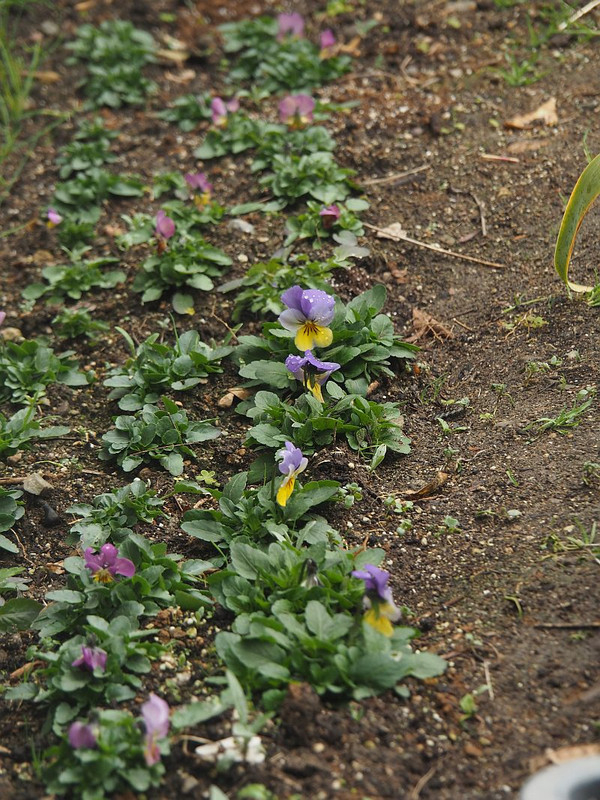 P1170414