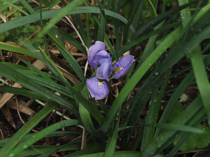 P1170418