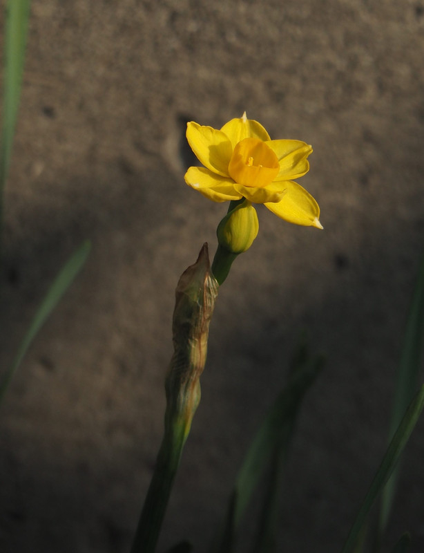 P1190443