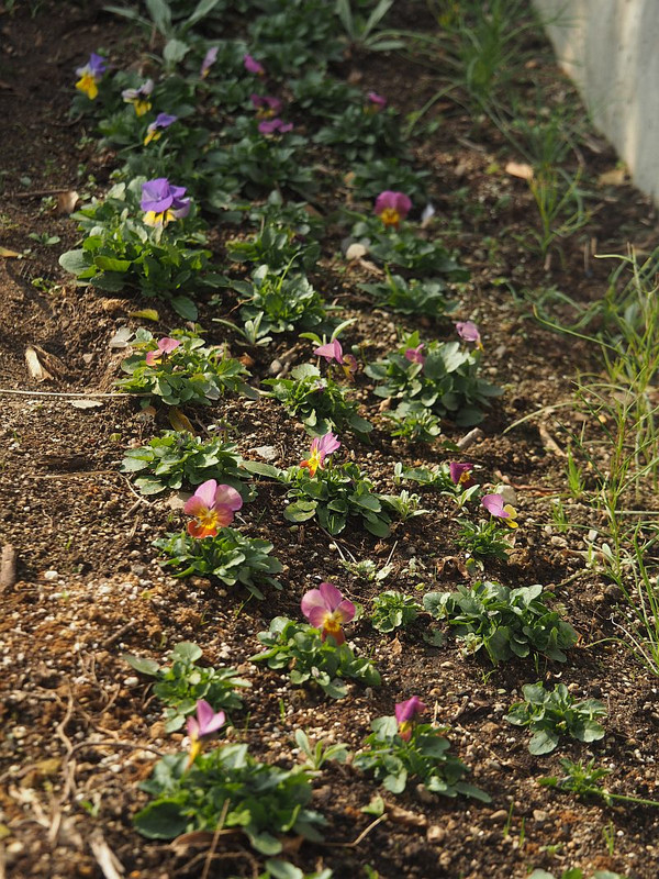 P1190444