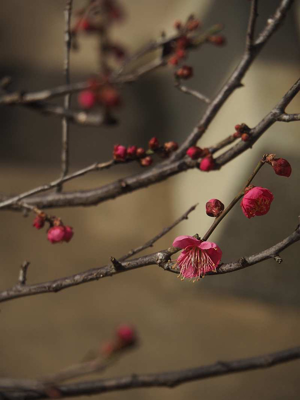 P1310701