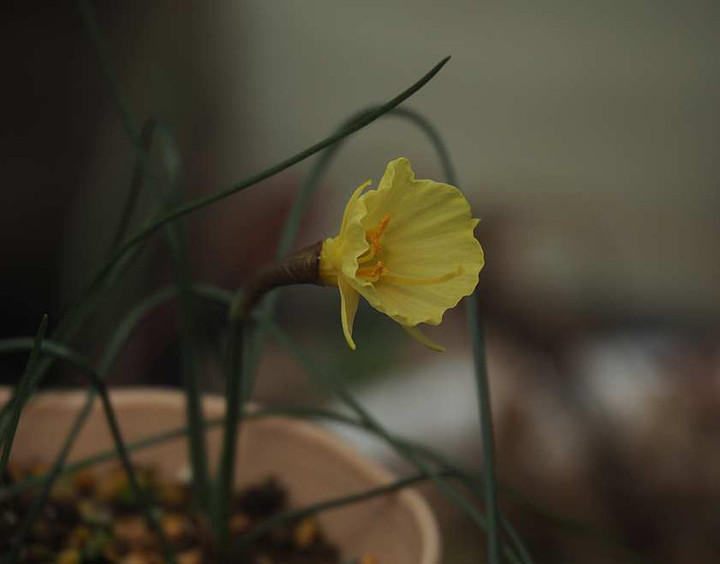 P2040806