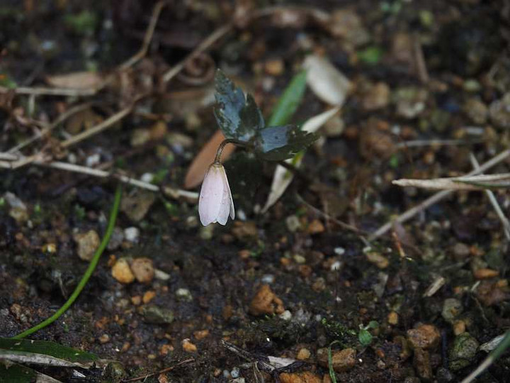 P2090937