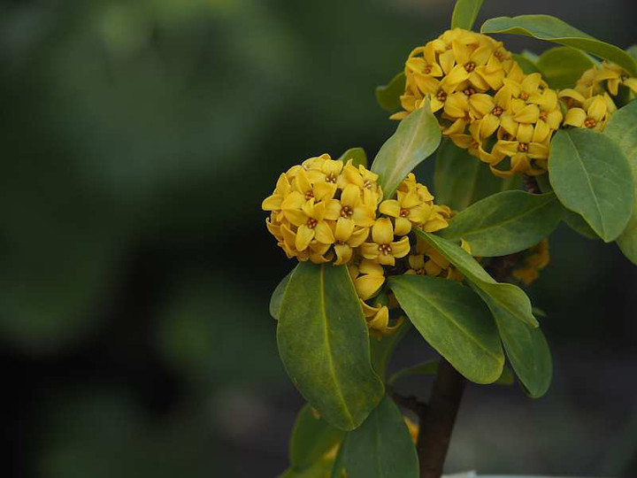 P2181360