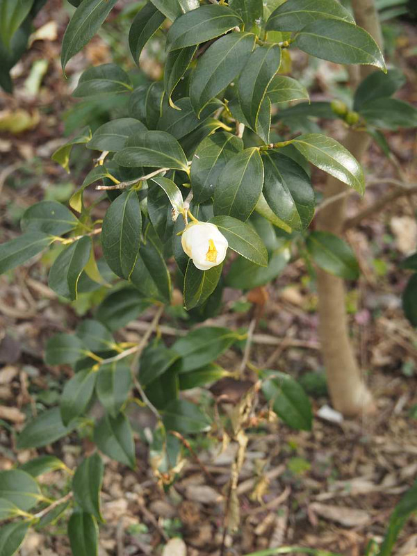 P2211477