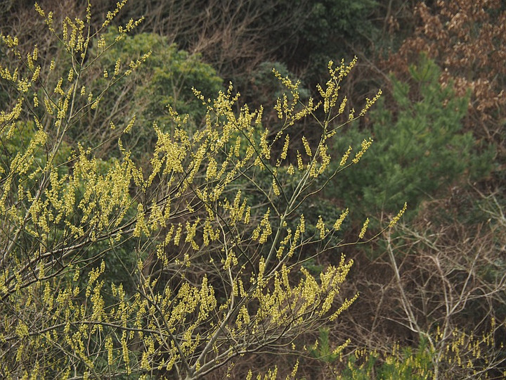 P2251909