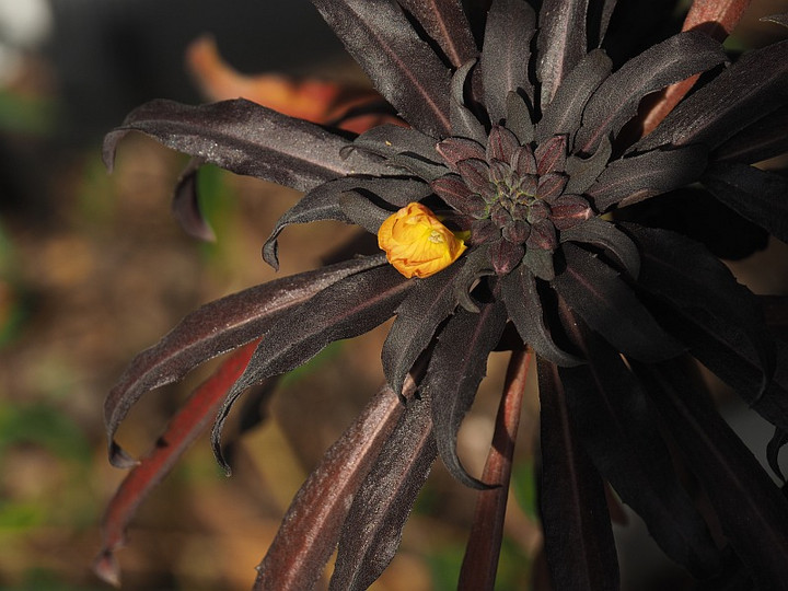 P3012055