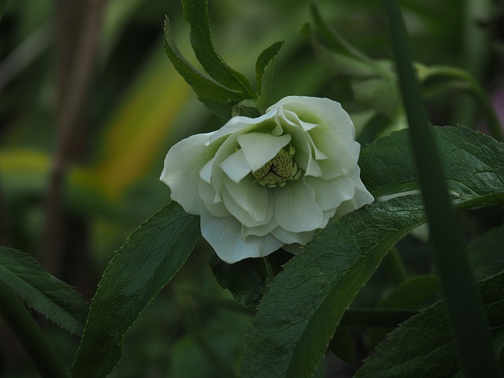 P3012076