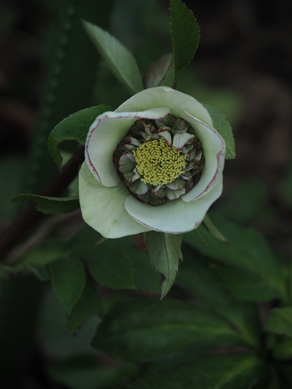 P3012078