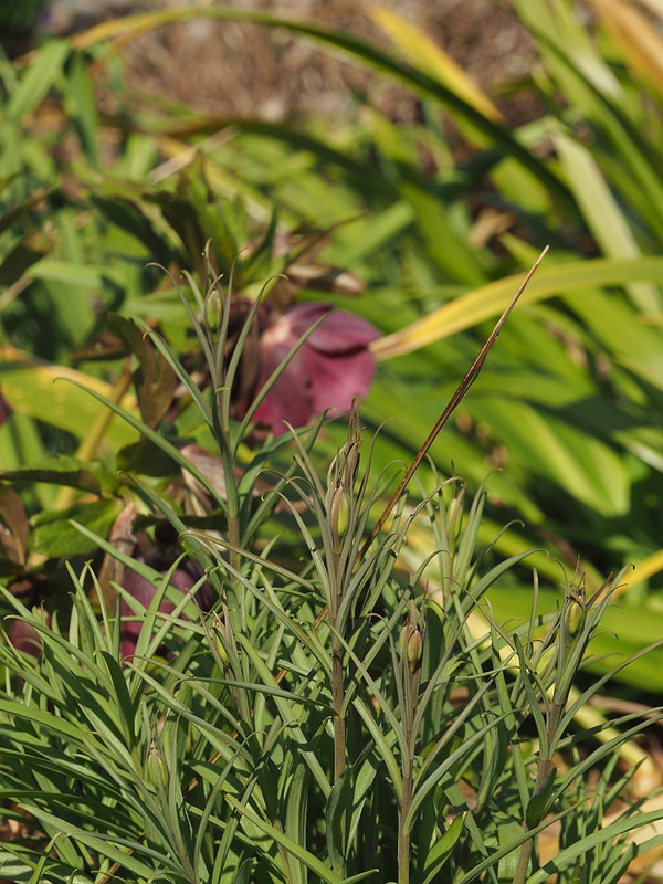 P3012089