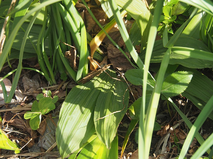 P3022123