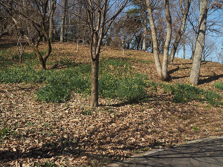P3022141