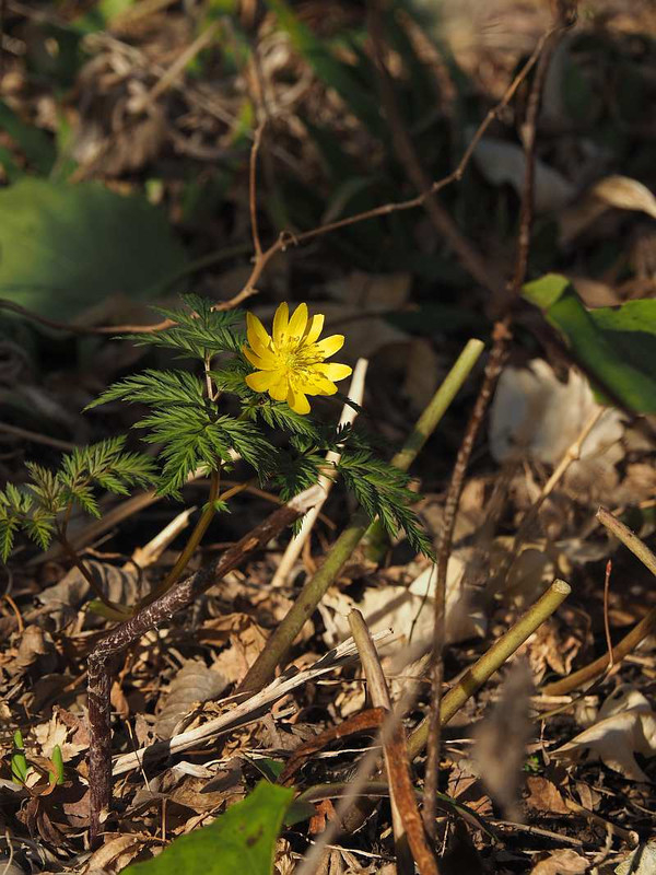 P3032165