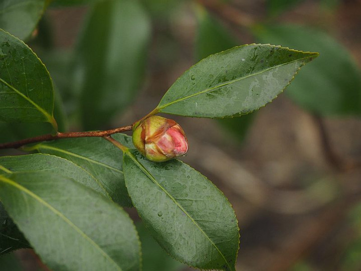 P3052174