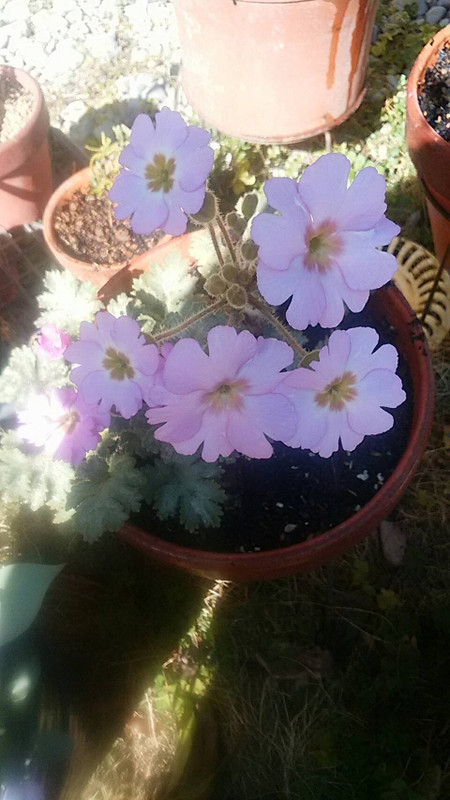 20180306223240