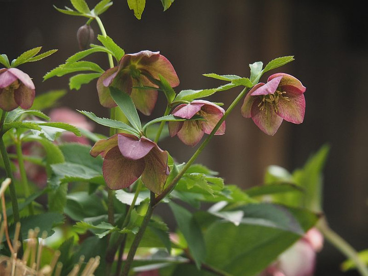 P3072242