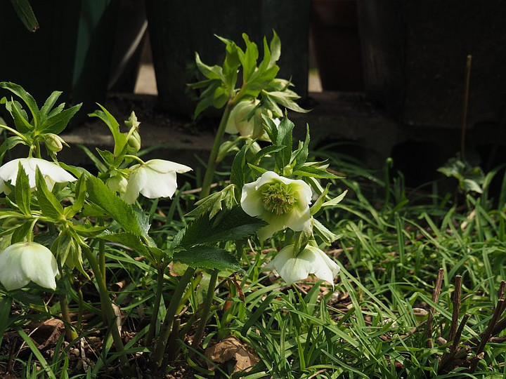 P3072254