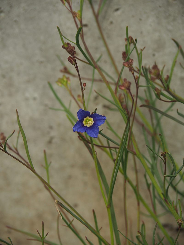 P3072262