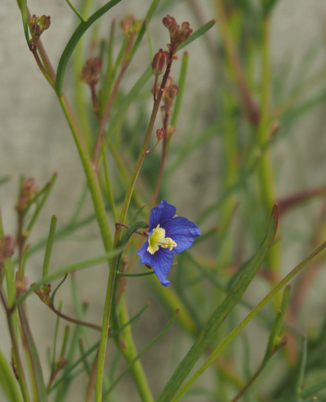 P3072263