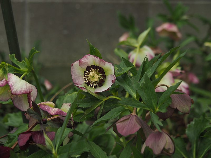 P3072274