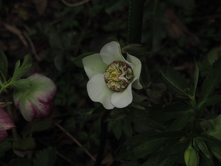 P3072275