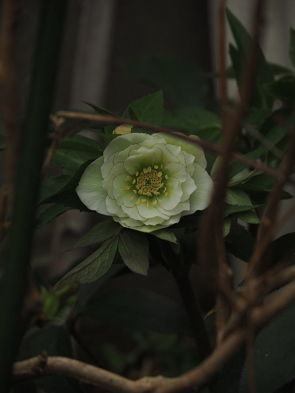 P3072276
