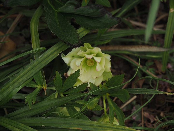 P3072277