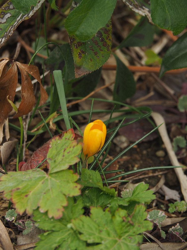P3072278