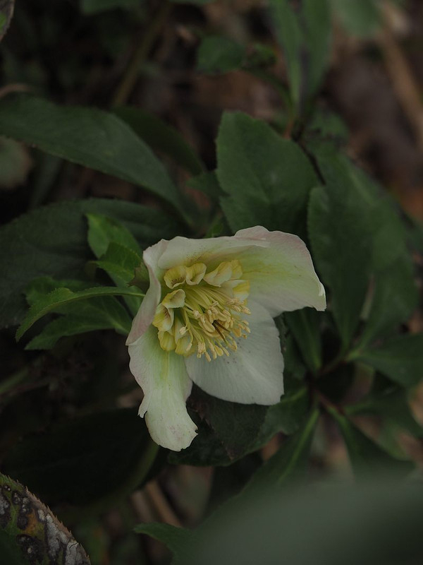 P3072279