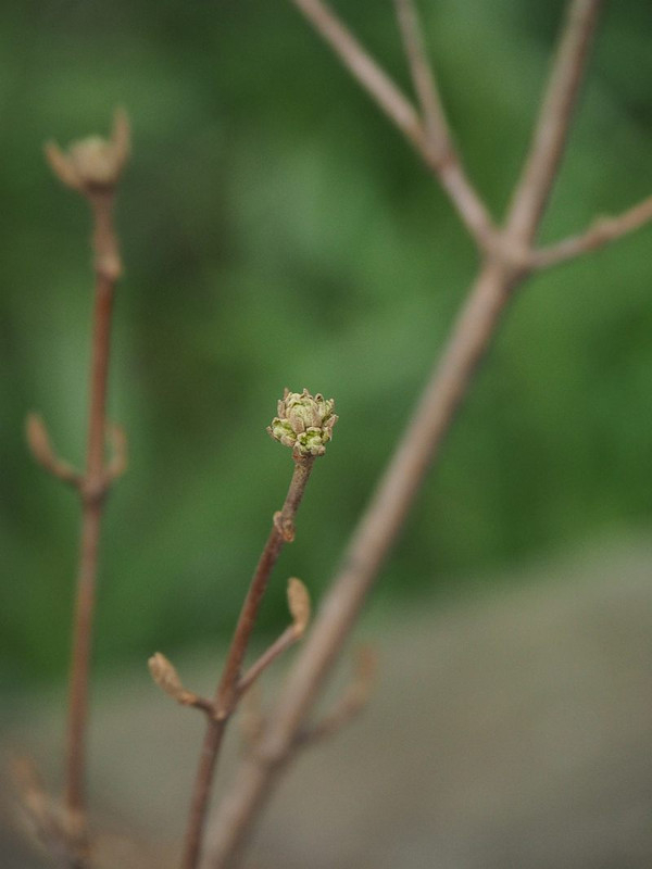 P3082286_2