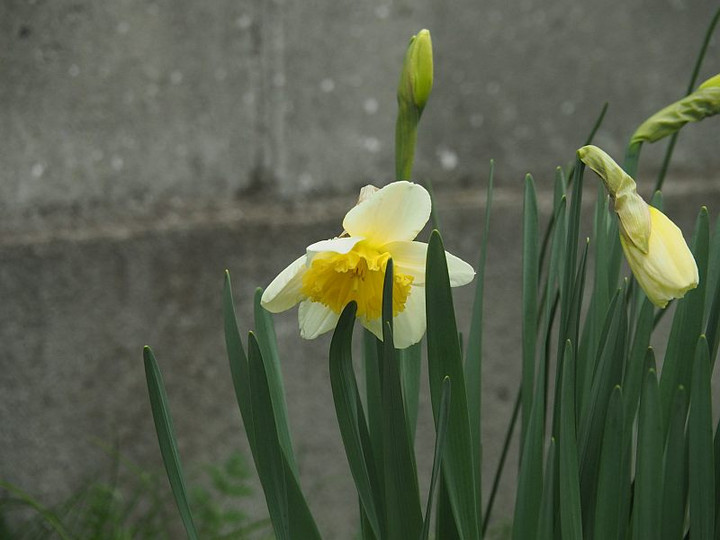 P3082295
