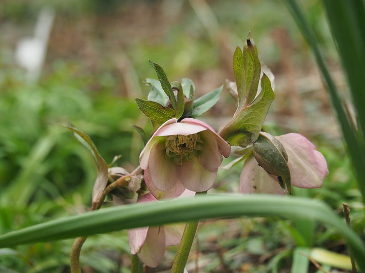 P3082303