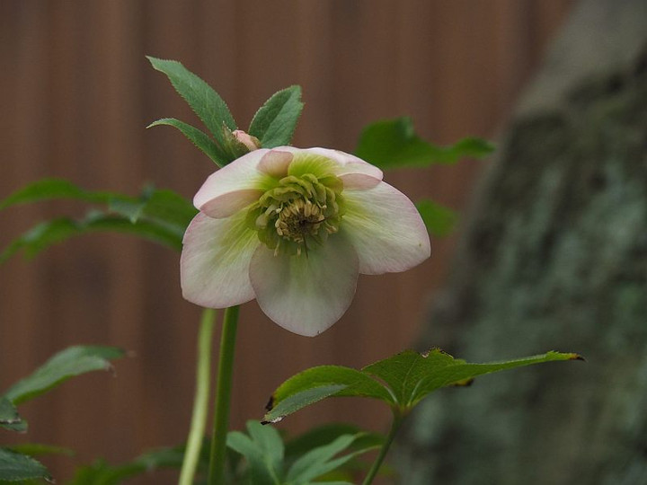 P3082317