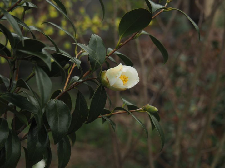 P3092348