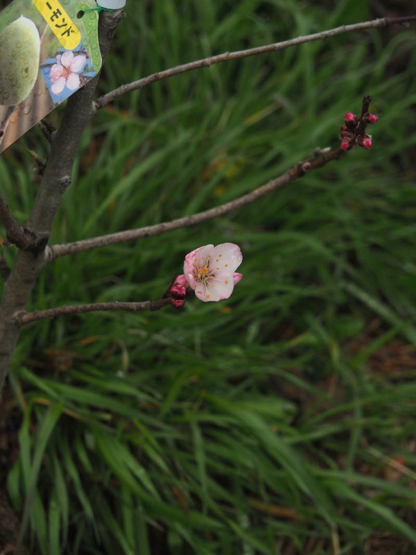 P3163000
