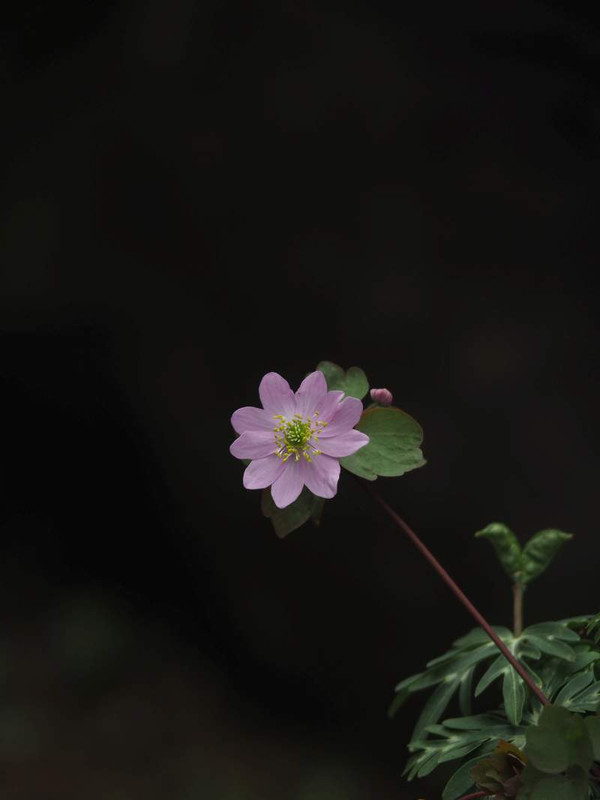 P3213474