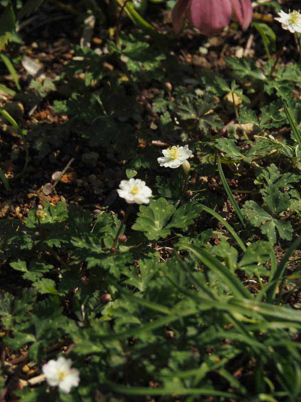 P3263568