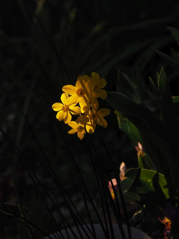 P3263593