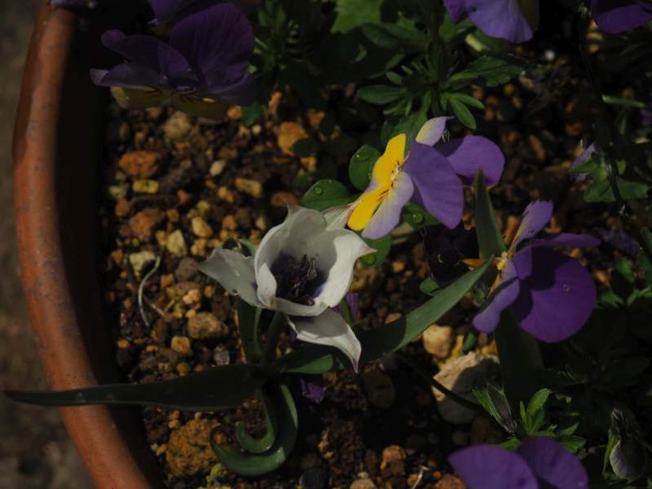 P3273602