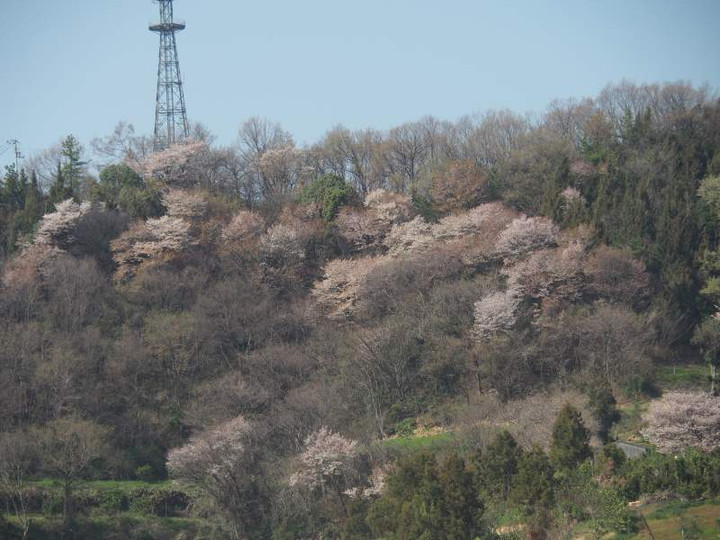 P3283659