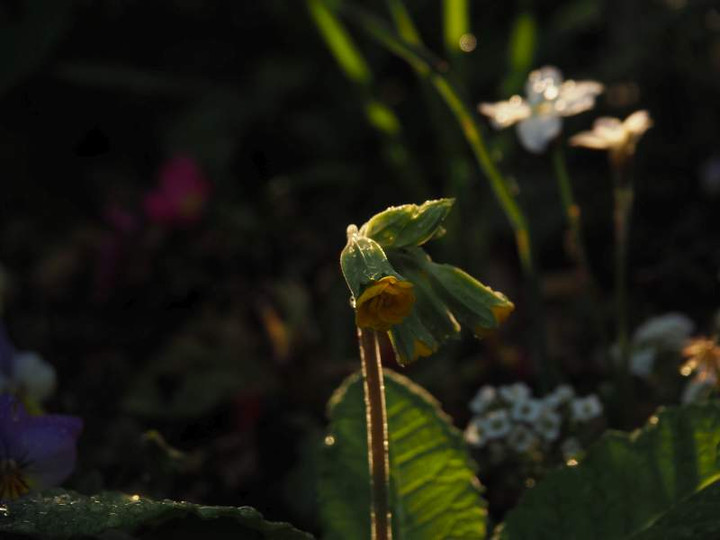 P3283689
