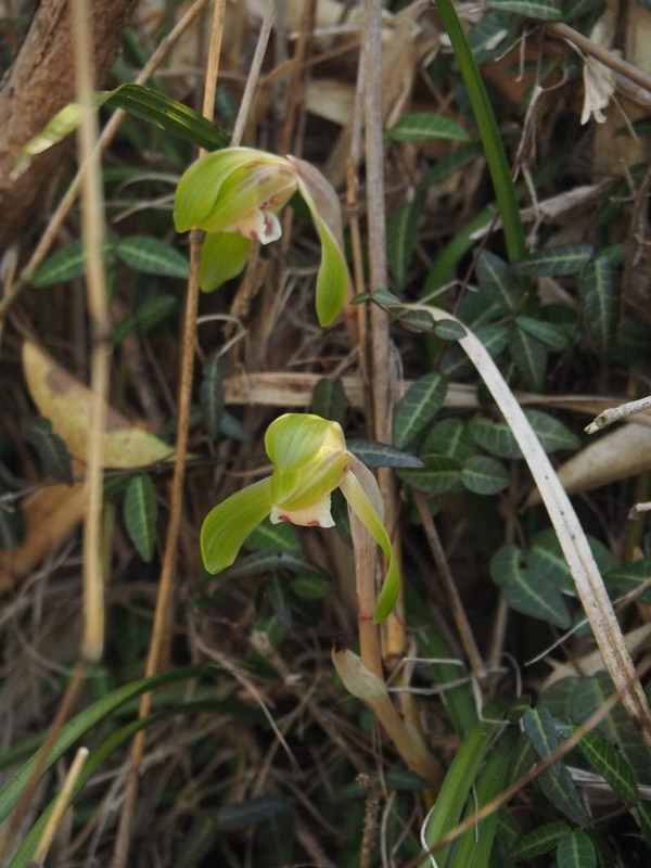 P3303803