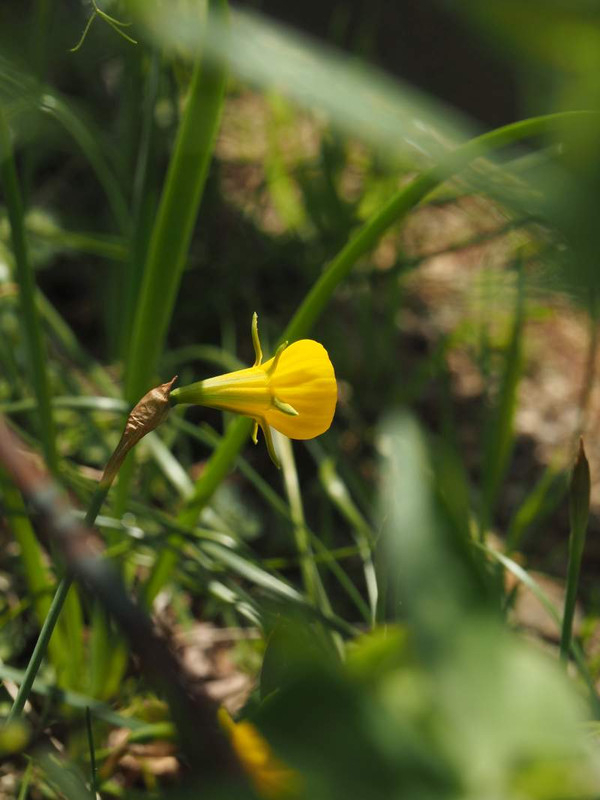 P3303825